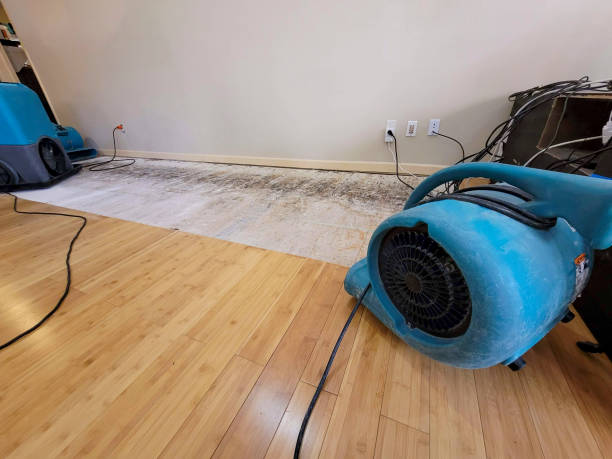 Professional Emergency Water Damage technician working in Loving, NM